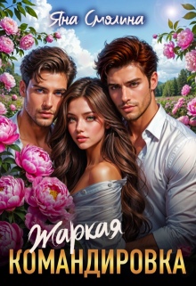 Жаркая командировка